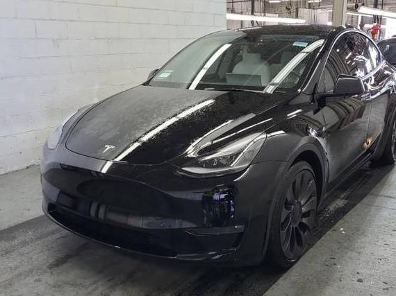 TESLA MODEL Y 2023 7SAYGDEF8PF794246 image